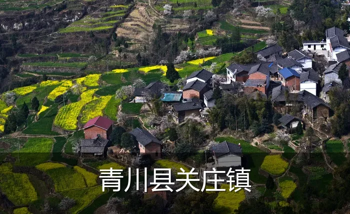 青川县关庄镇