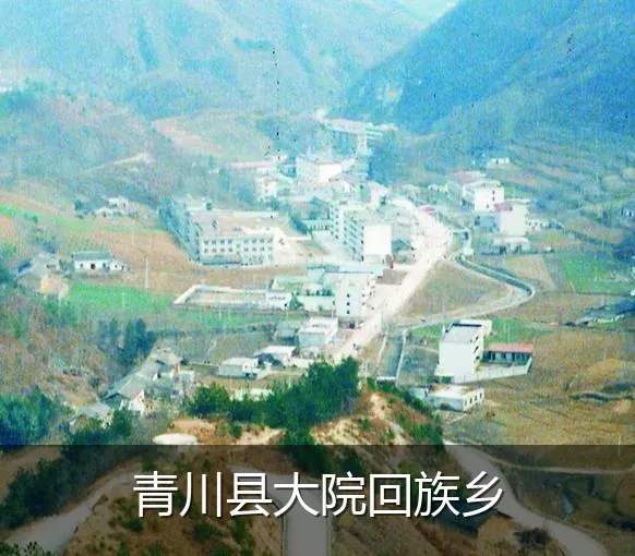 青川县大院回族乡