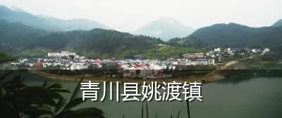 青川县姚渡镇