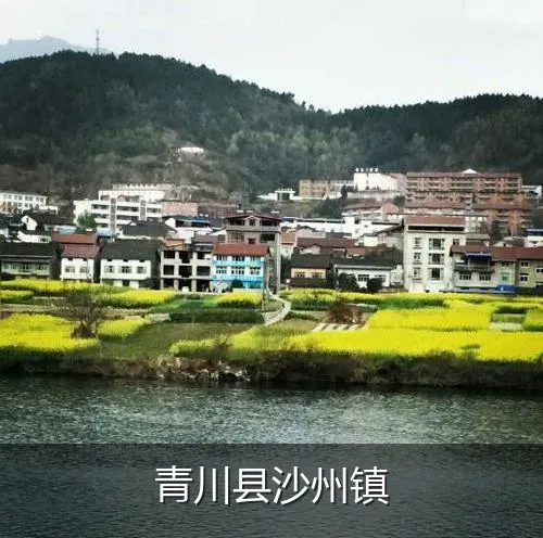 青川县沙州镇